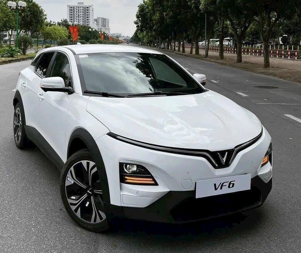 VINFAST VF6 MUA PIN